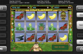 Zagraj w slot Crazy Monkey