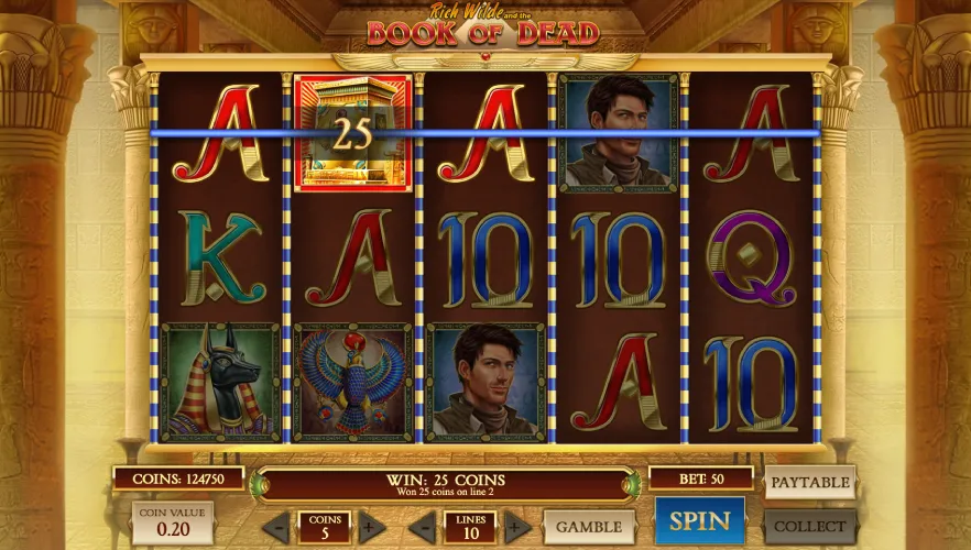 Zagraj w Book of Dead od Play'n GO 